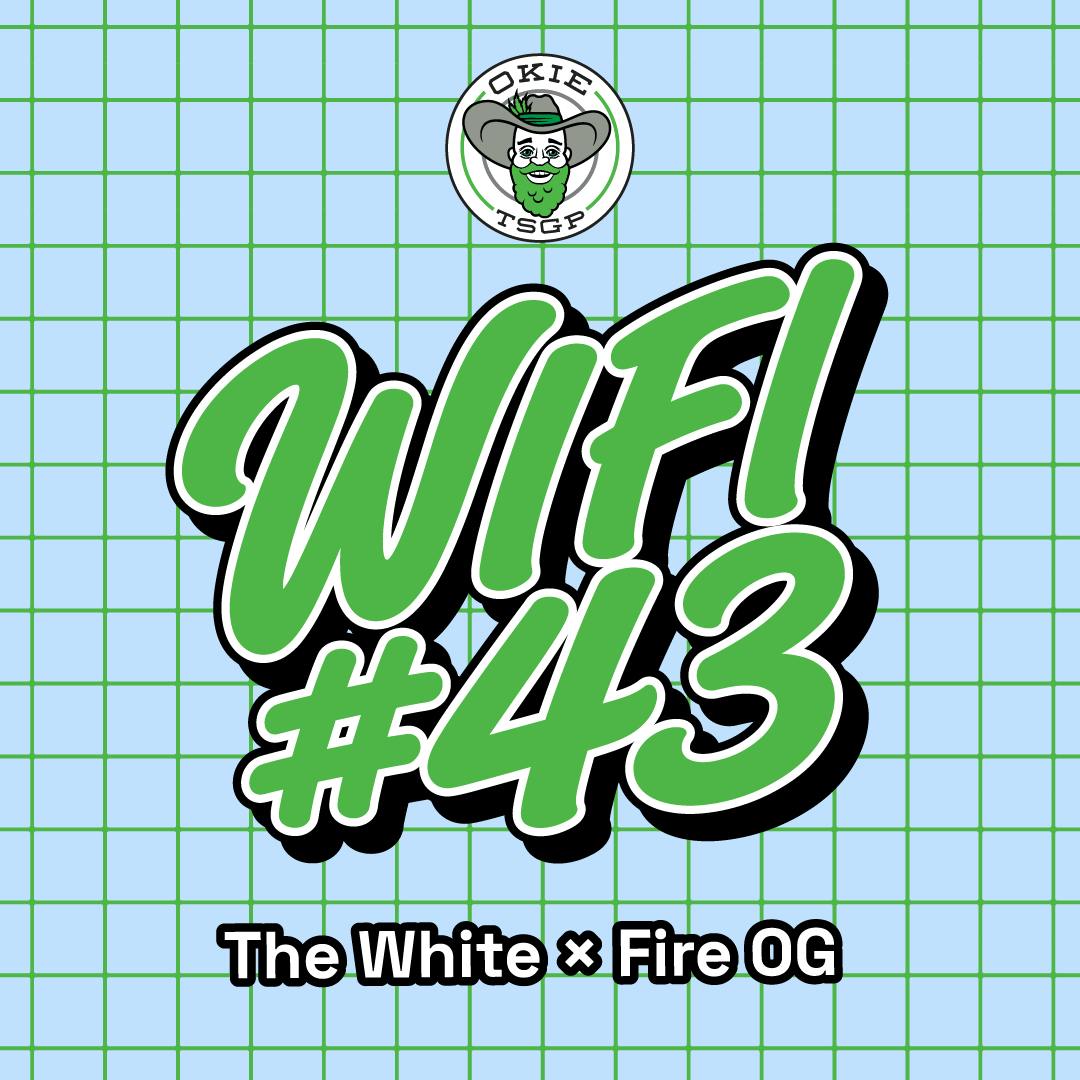 Wifi #43