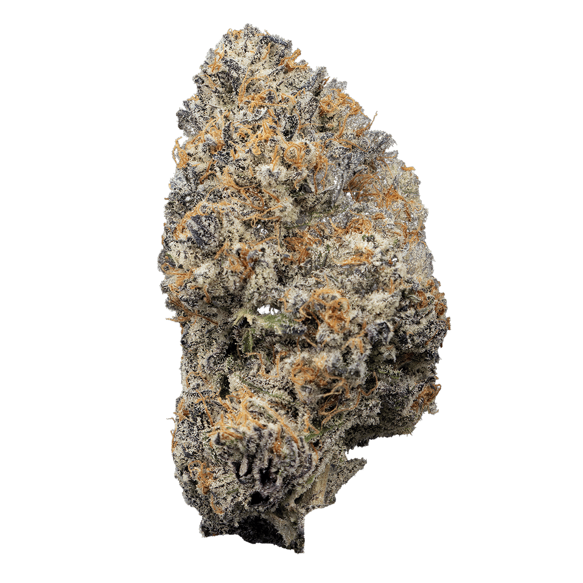 Tales From the Krypt | Big Buds | 3.5g by Grown Rogue