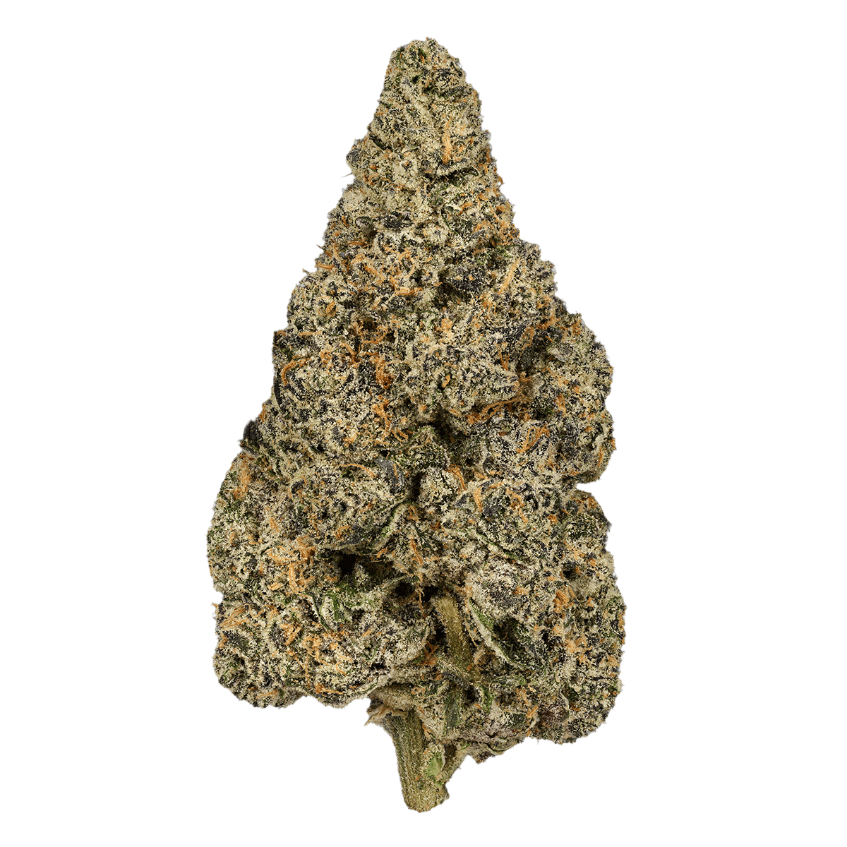 Horchata | Big Buds | 3.5g by Grown Rogue