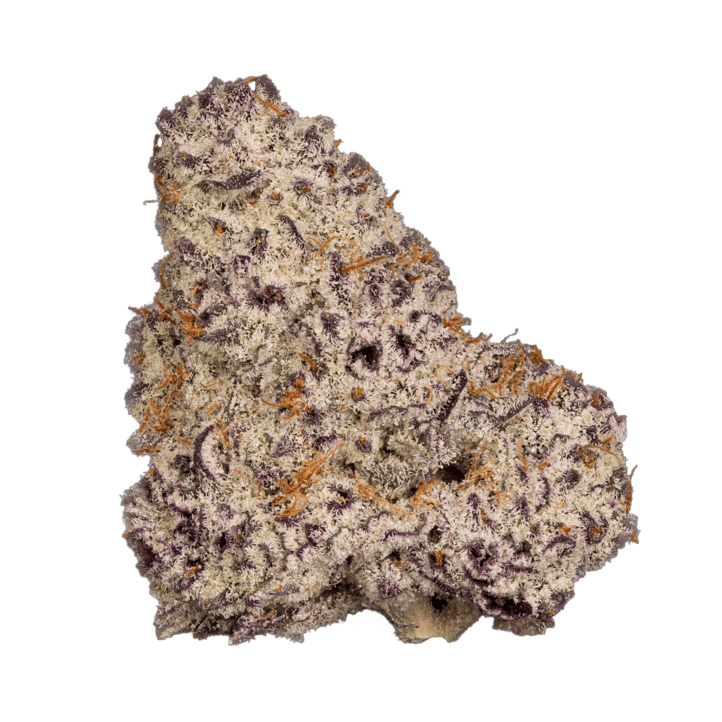 Deep Space | Big Buds by Grown Rogue