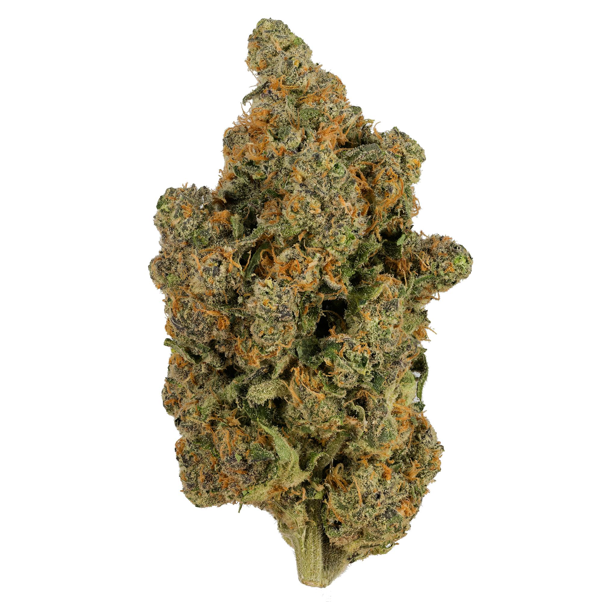 Blue Zlushie Big Buds