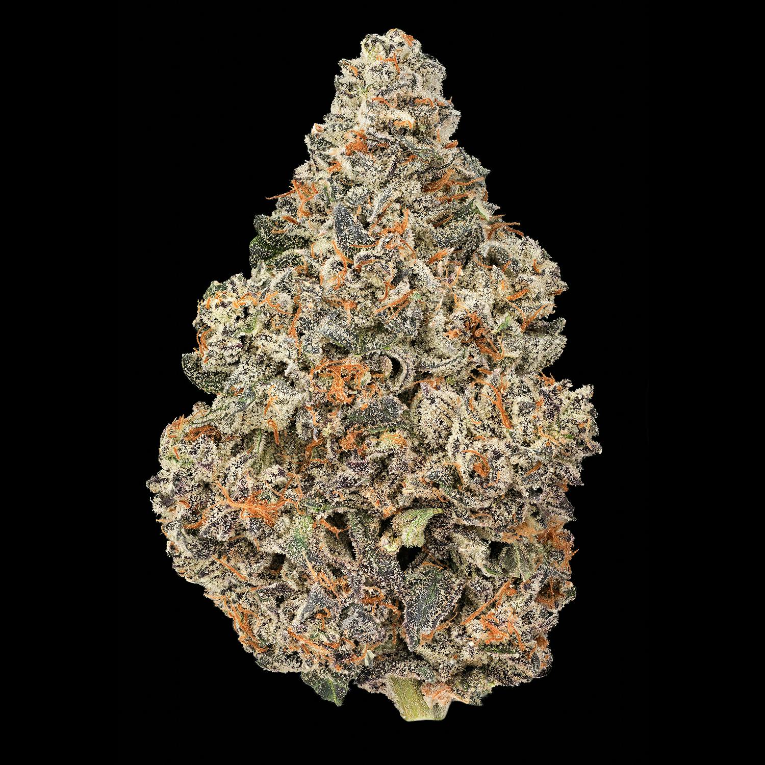 Currency | Big Buds by Grown Rogue