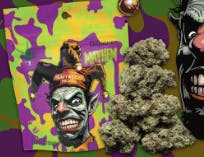 Mayhem | Big Buds | 3.5g by Heavyweight Heads
