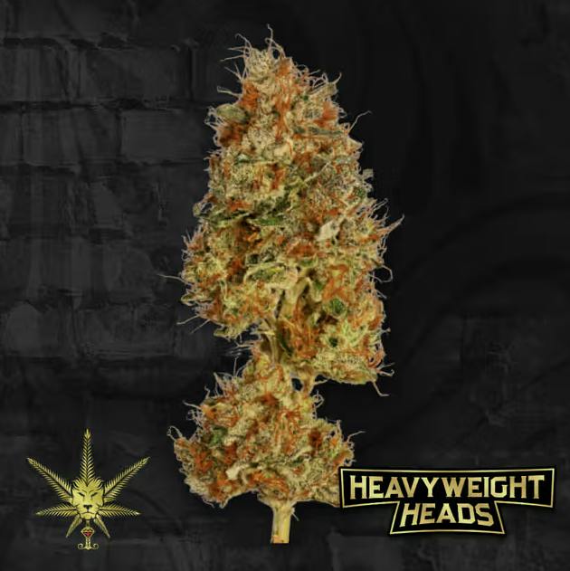Cream Soda x Lemon | T2 Big Buds by Heavyweight Heads
