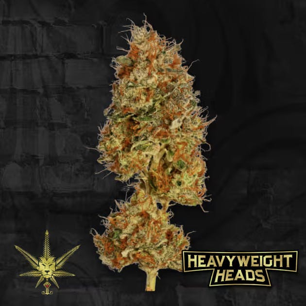 Cream Soda x Lemon | Big Buds by Heavyweight Heads