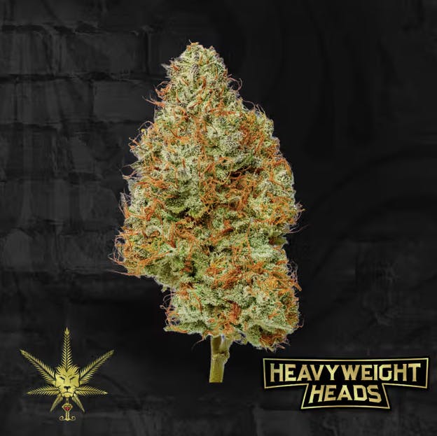 Sunshine Reaper | T3 Big Buds by Heavyweight Heads