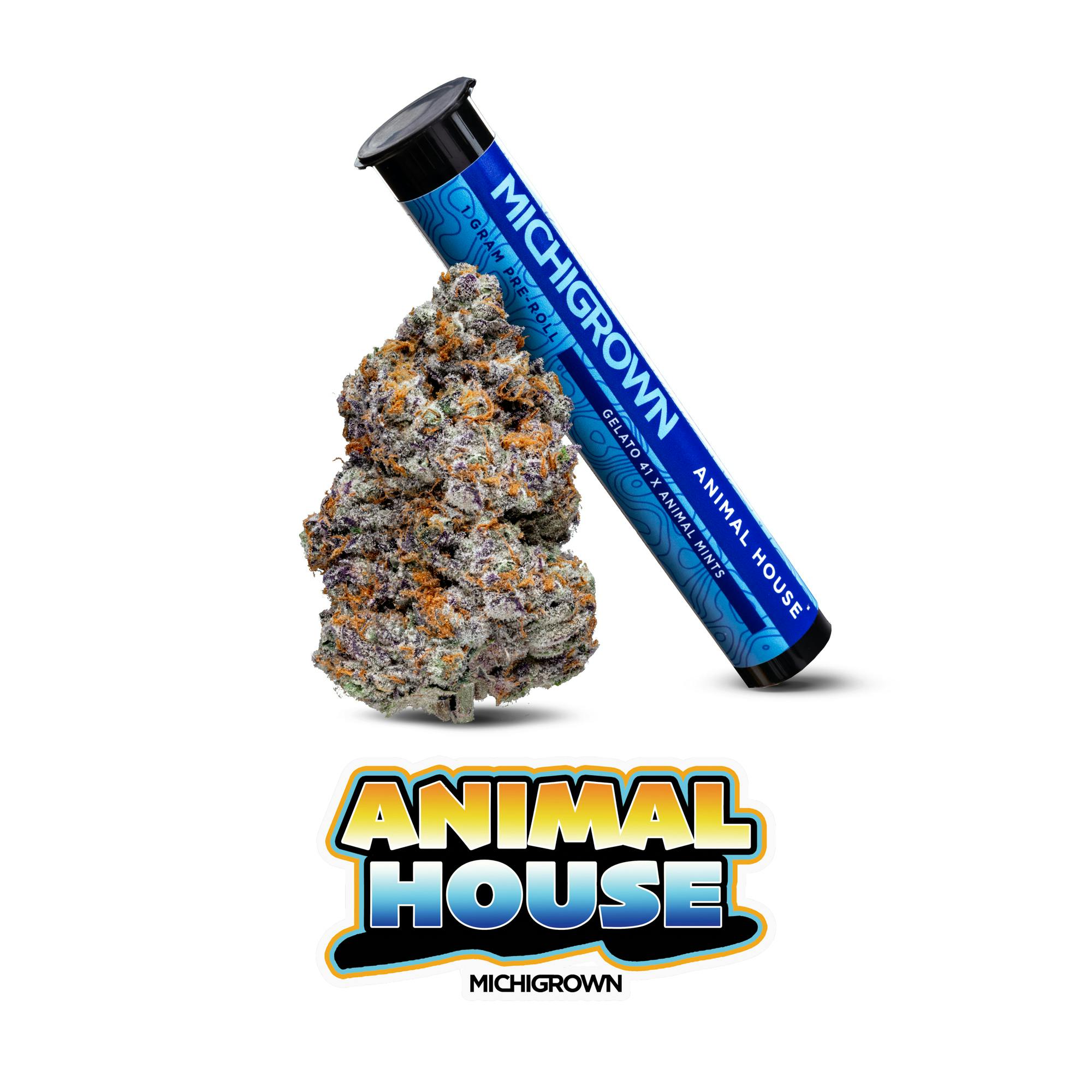 Animal House | Joint | 1g