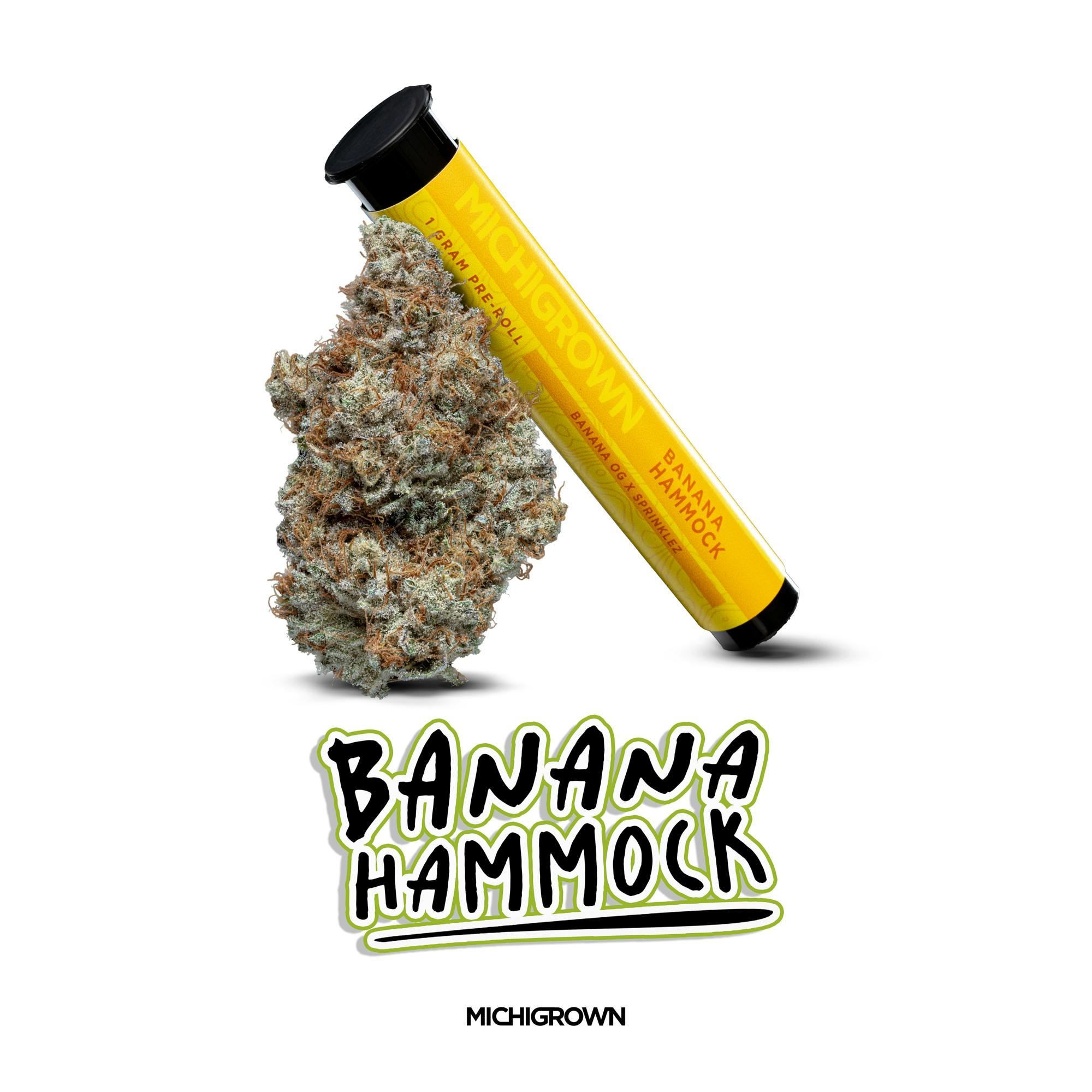 Banana Hammock | Joint | 1g