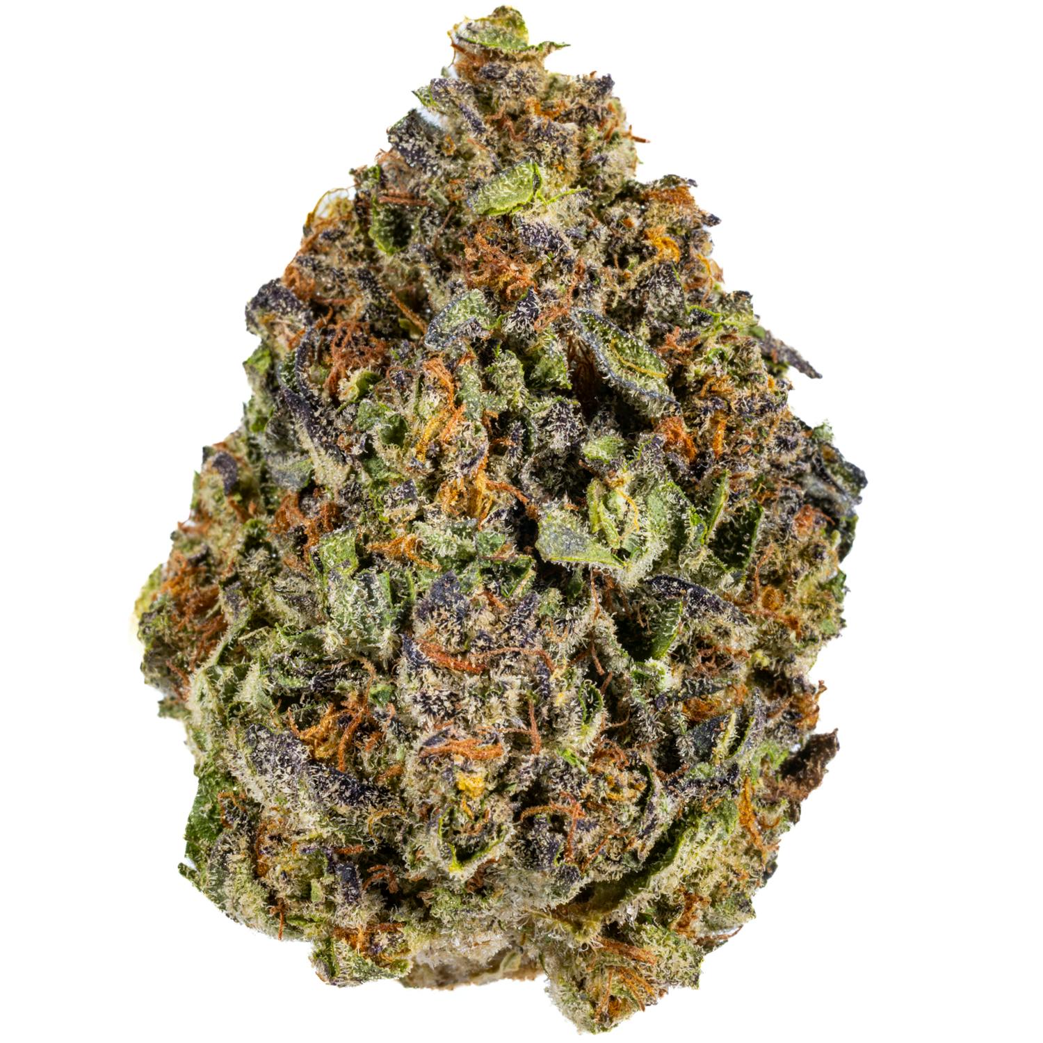 Sherbet Gas - 14G Premium Flower
