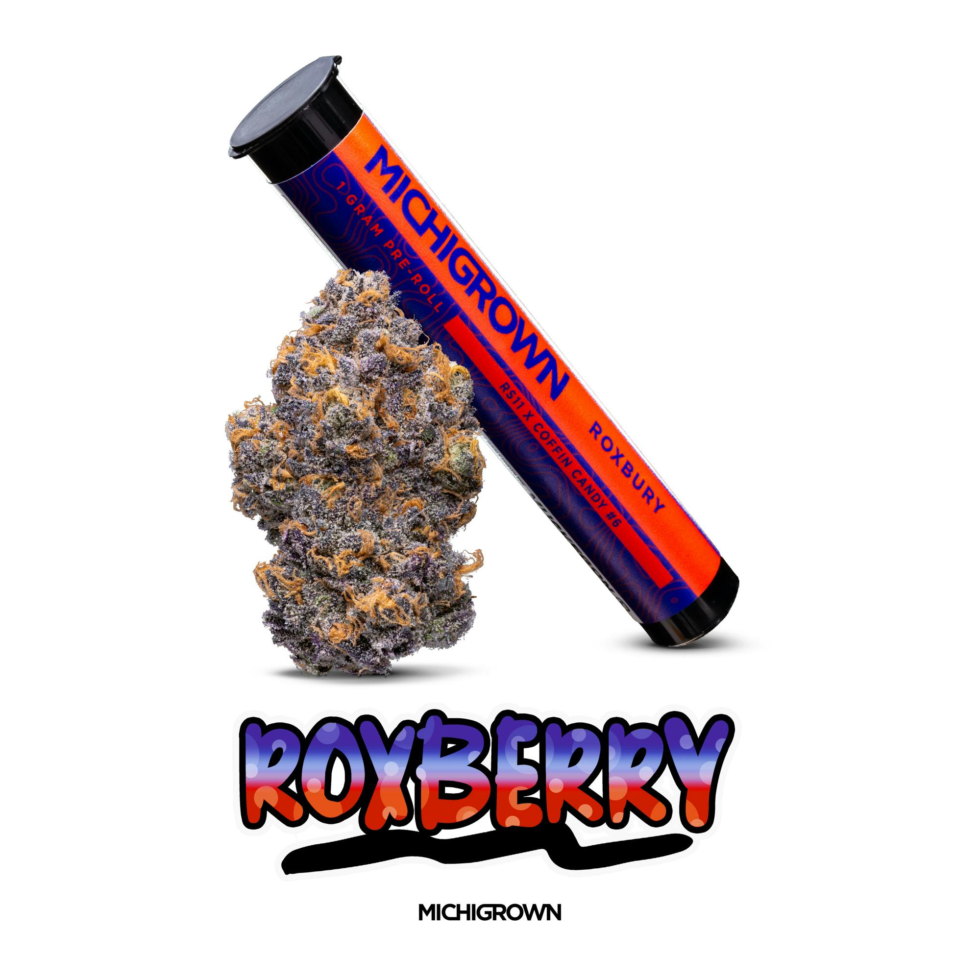 Roxbury | Joint | 1g