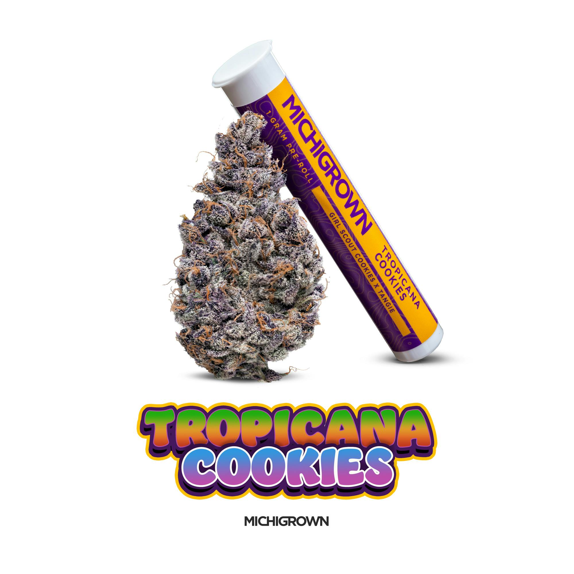 TROPICANA COOKIES - 1 GRAM PREMIUM PRE ROLL by MICHIGROWN