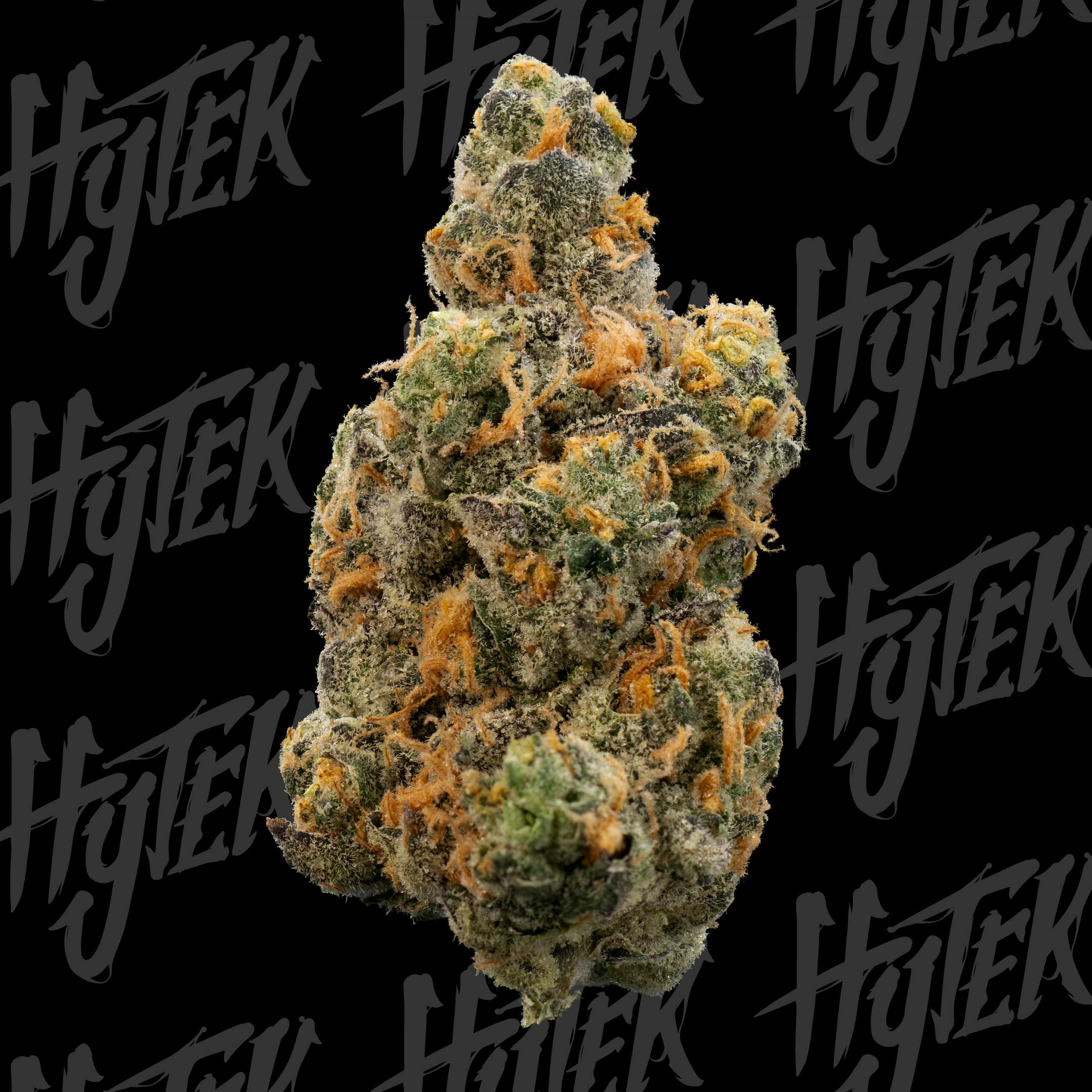 HYTEK | DARYL STRAWBERRY | BULK DELI FLOWER by Hytek
