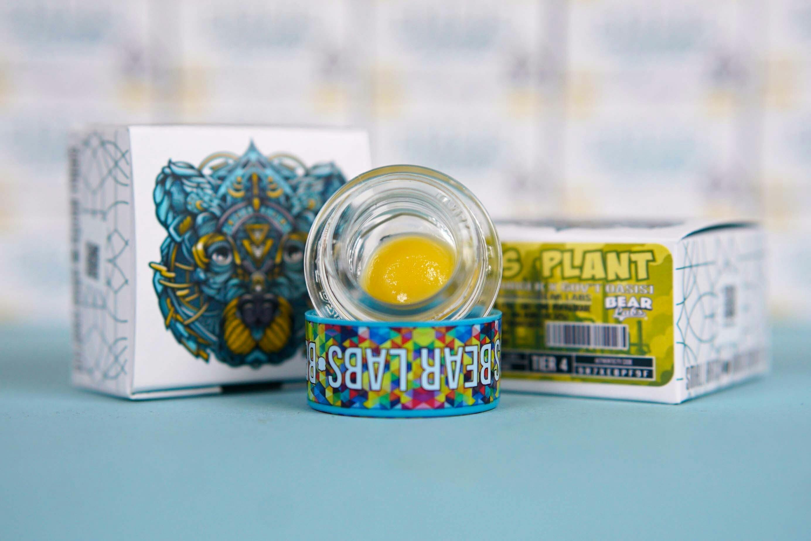 Bear Labs: Gas Plant