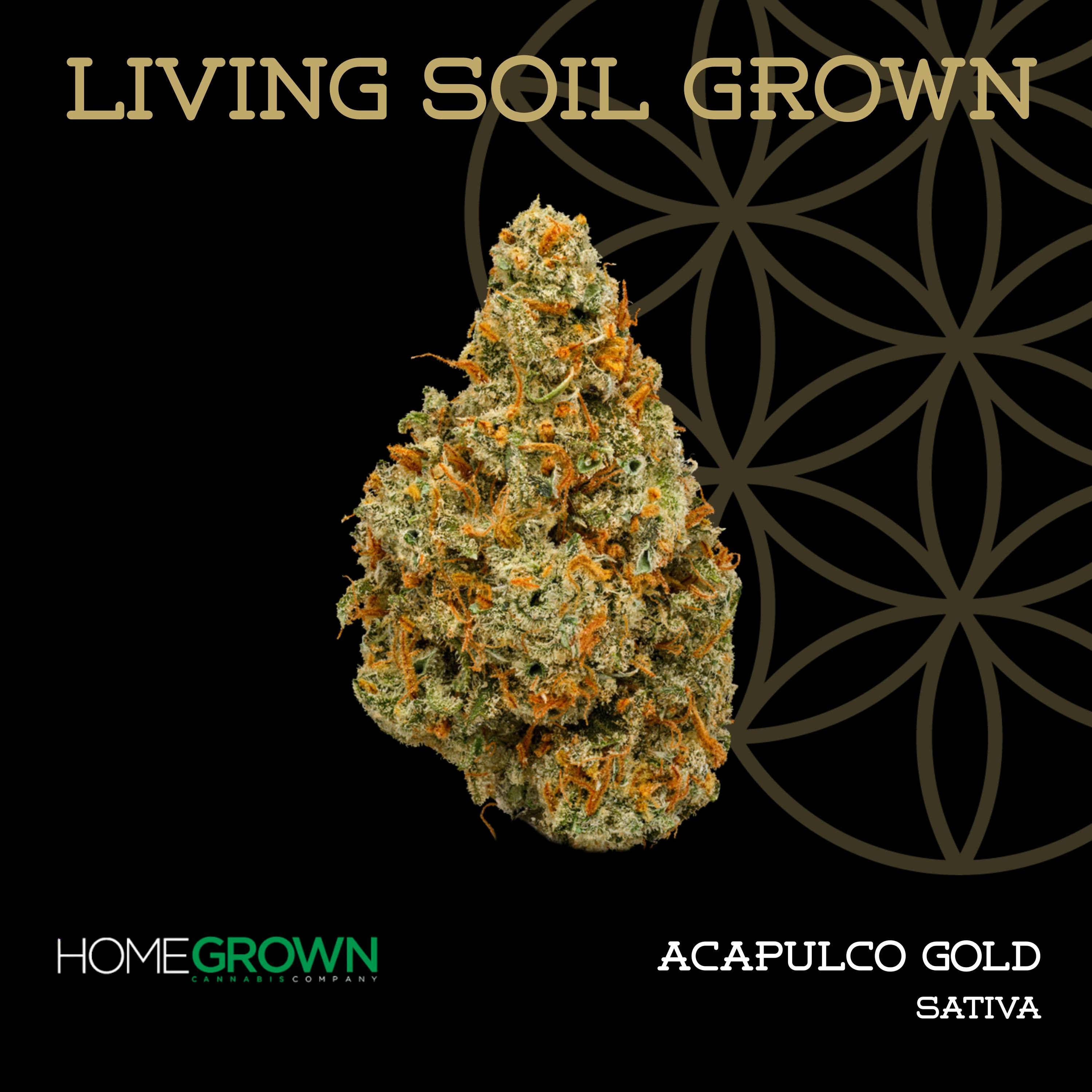 Acapulco Gold | Bulk Deli | Living Soil by Flower of Life