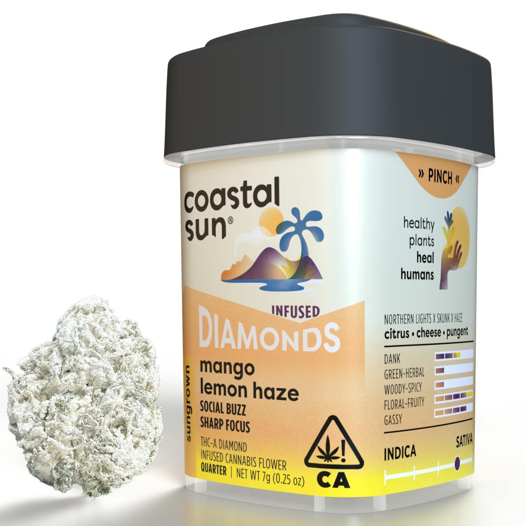 Coastal Sun: Mango Lemon Haze