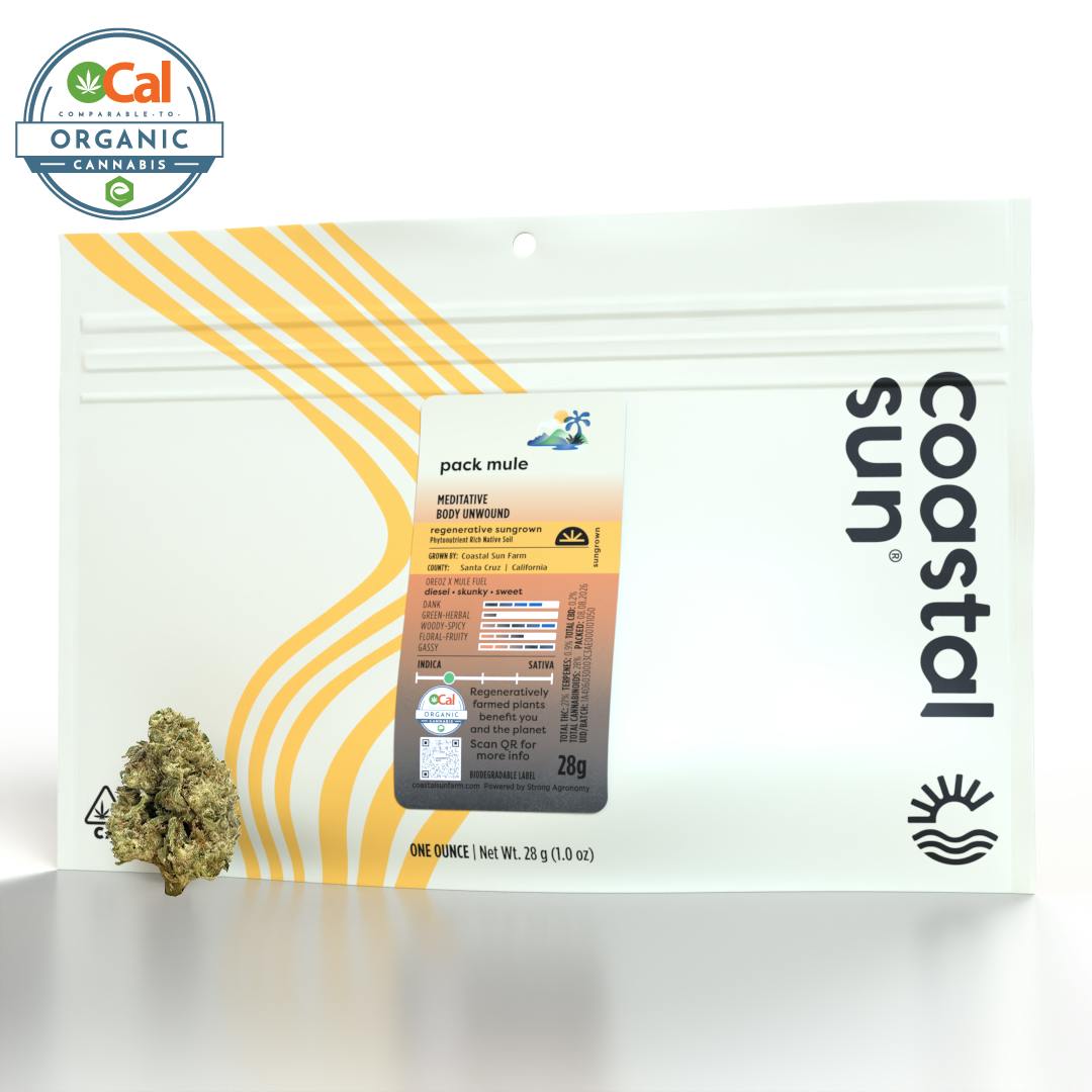Coastal Sun: Mule Fuel