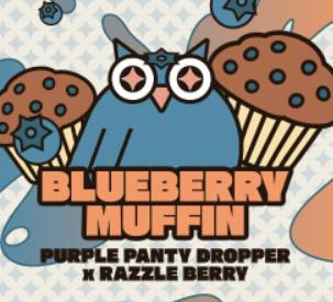 Blueberry Muffin | Ground by Wise Guys
