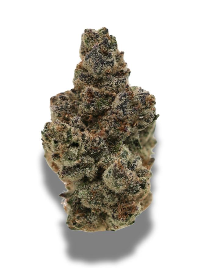 Candy Pop | Big Buds by Freedom Green