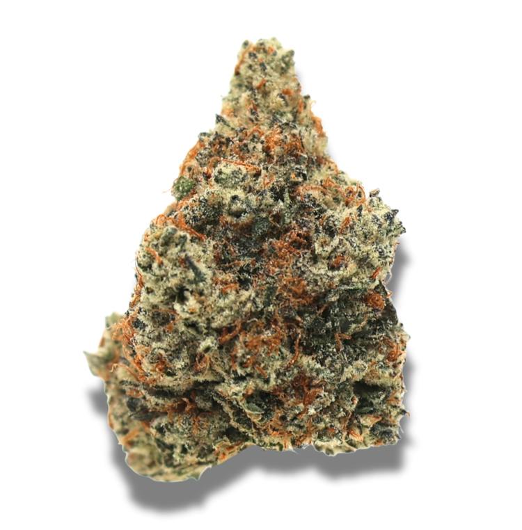 Cake Boss | Big Buds