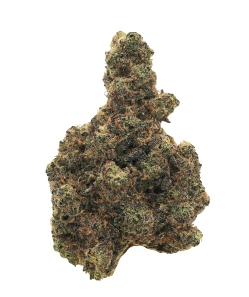 Durban Mintz | Big Buds by Freedom Green