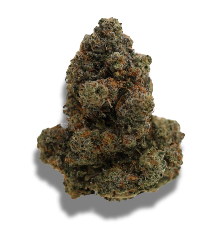 London Jelly | Big Buds by Freedom Green