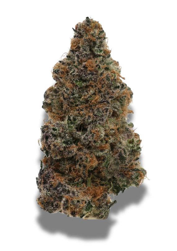 Orange Julius | Big Buds by Freedom Green