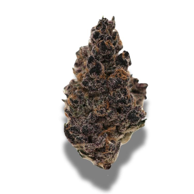 Purple Tangie | Big Buds | 14g