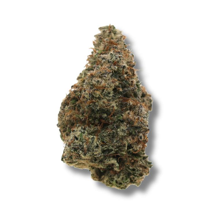 Watermelon Mimosa | Big Buds by Freedom Green