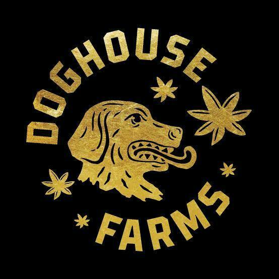 Van Pellegrino | Big Buds | 1g by DogHouse Farms