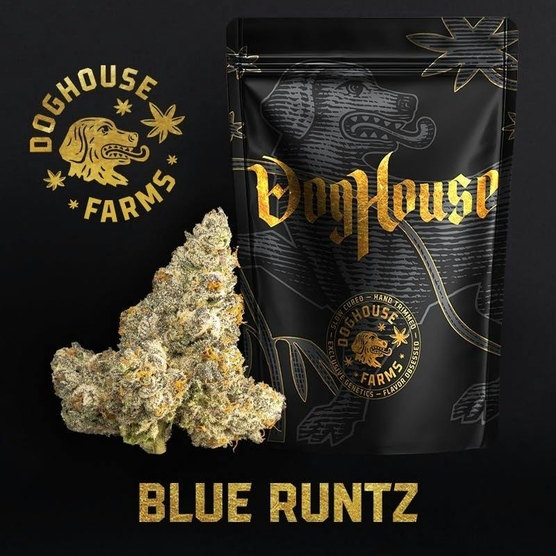 Blue Runtz | Big Buds by DogHouse Farms