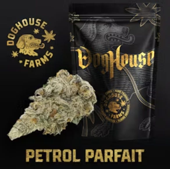 Petrol Parfait | Big Buds by DogHouse Farms
