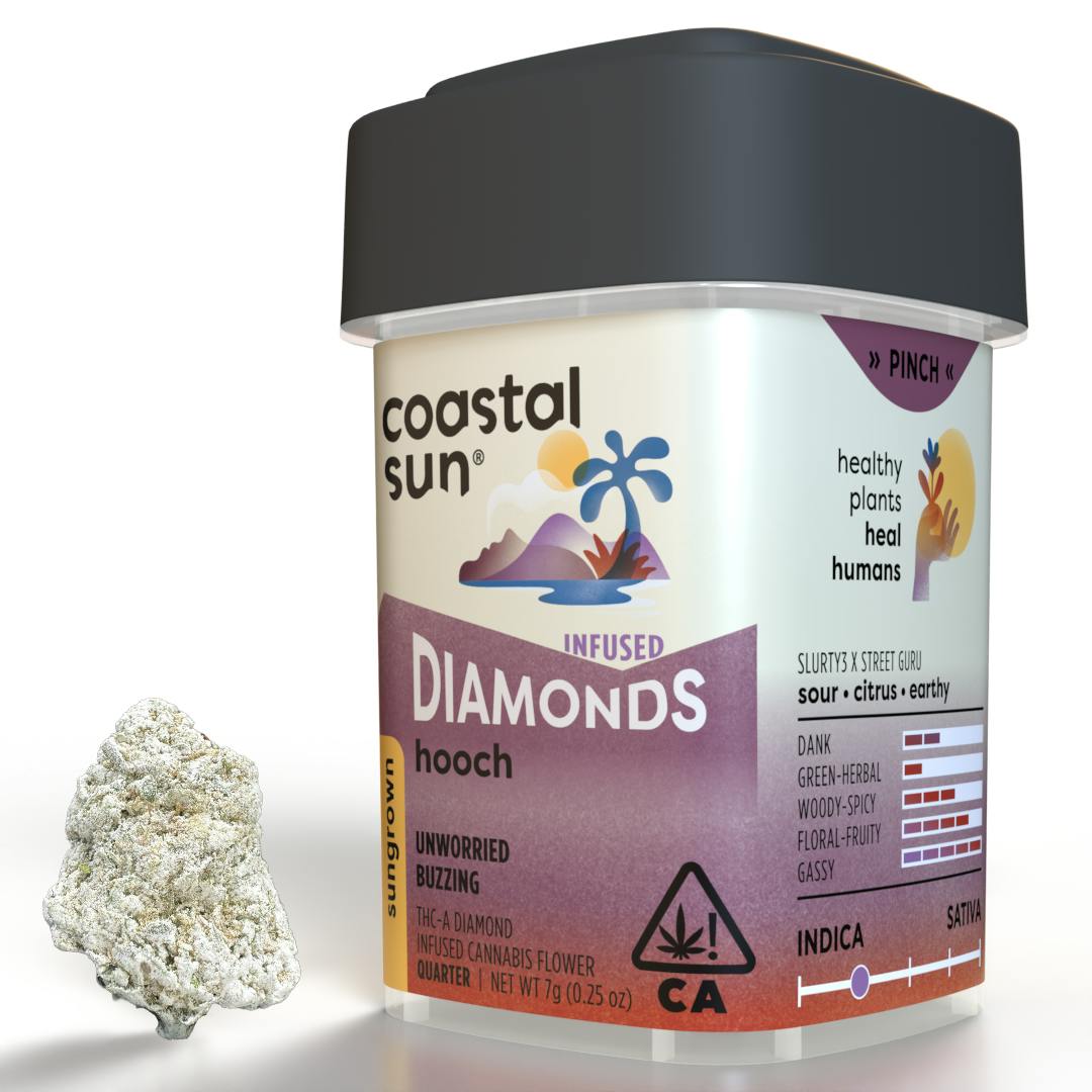 Coastal Sun | Hooch | Infused Sungrown Flower | 7g
