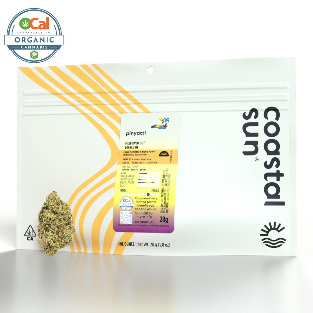 Coastal Sun: Pinyatti - Sungrown - 28g