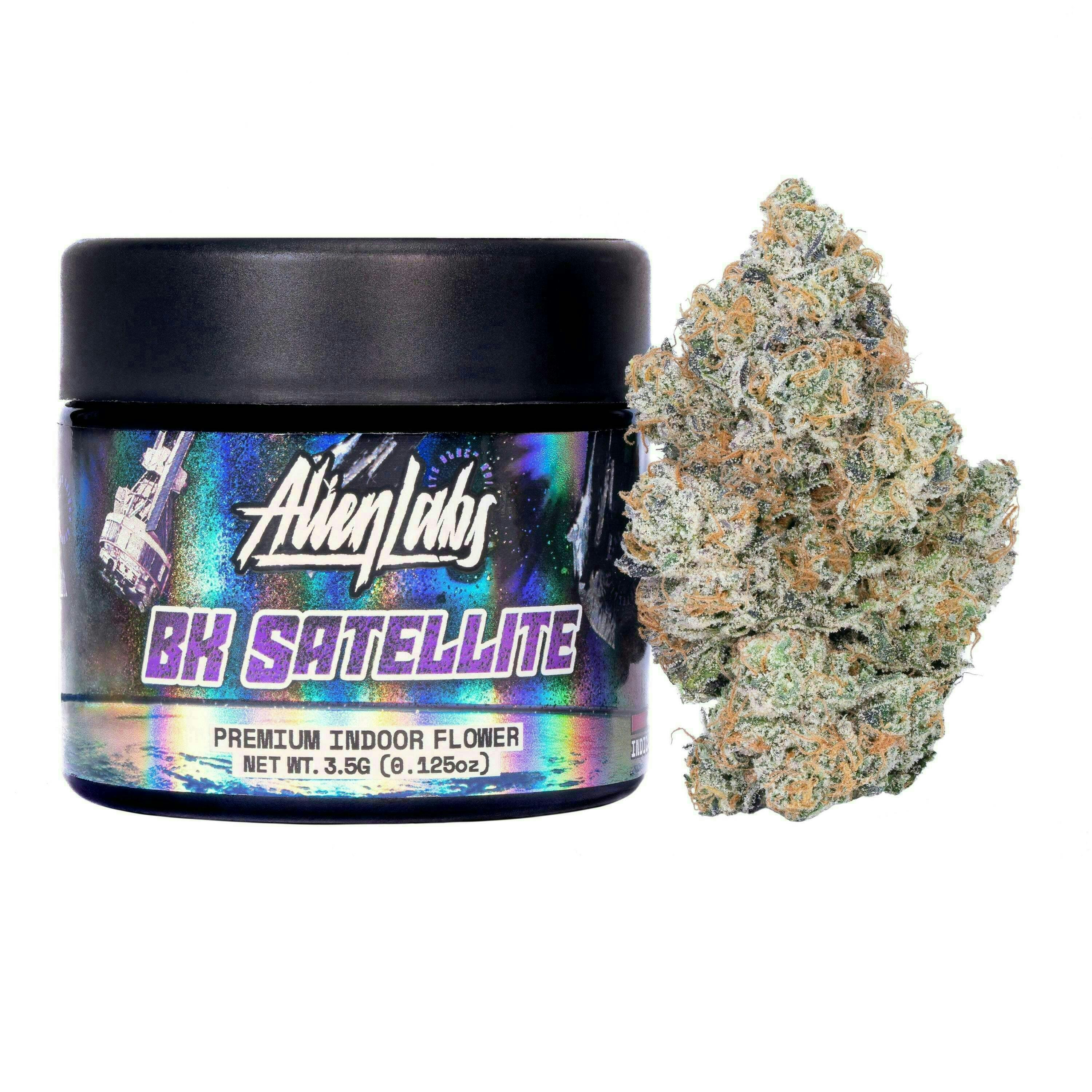 Alien Labs: BK Satellite