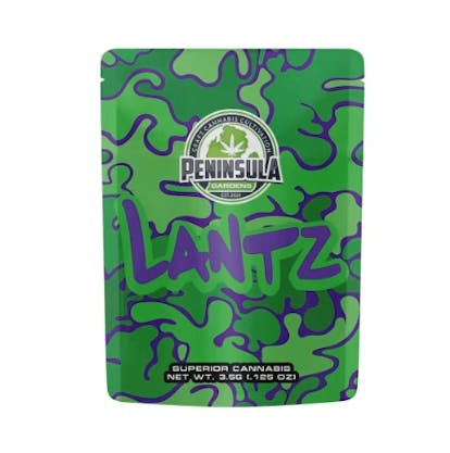 Lantz | Big Buds | 3.5g by Peninsula Gardens