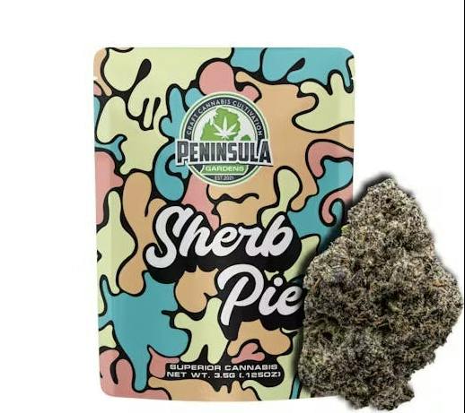 Sherb Pie | Big Buds by Peninsula Gardens