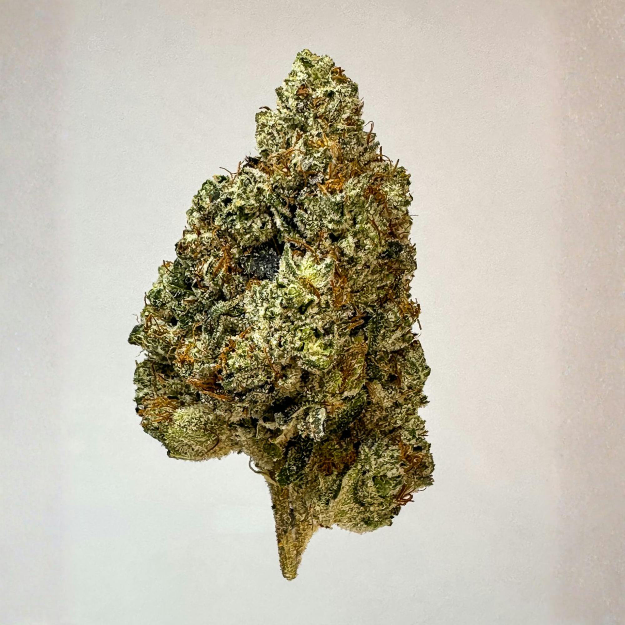 Doctor Reefer I Ghost OG I 3.5G I Indoor Flower
