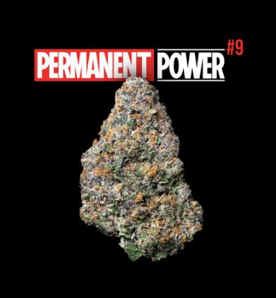 Permanent Power #9 | Buds by Uplyfted Cannabis Co
