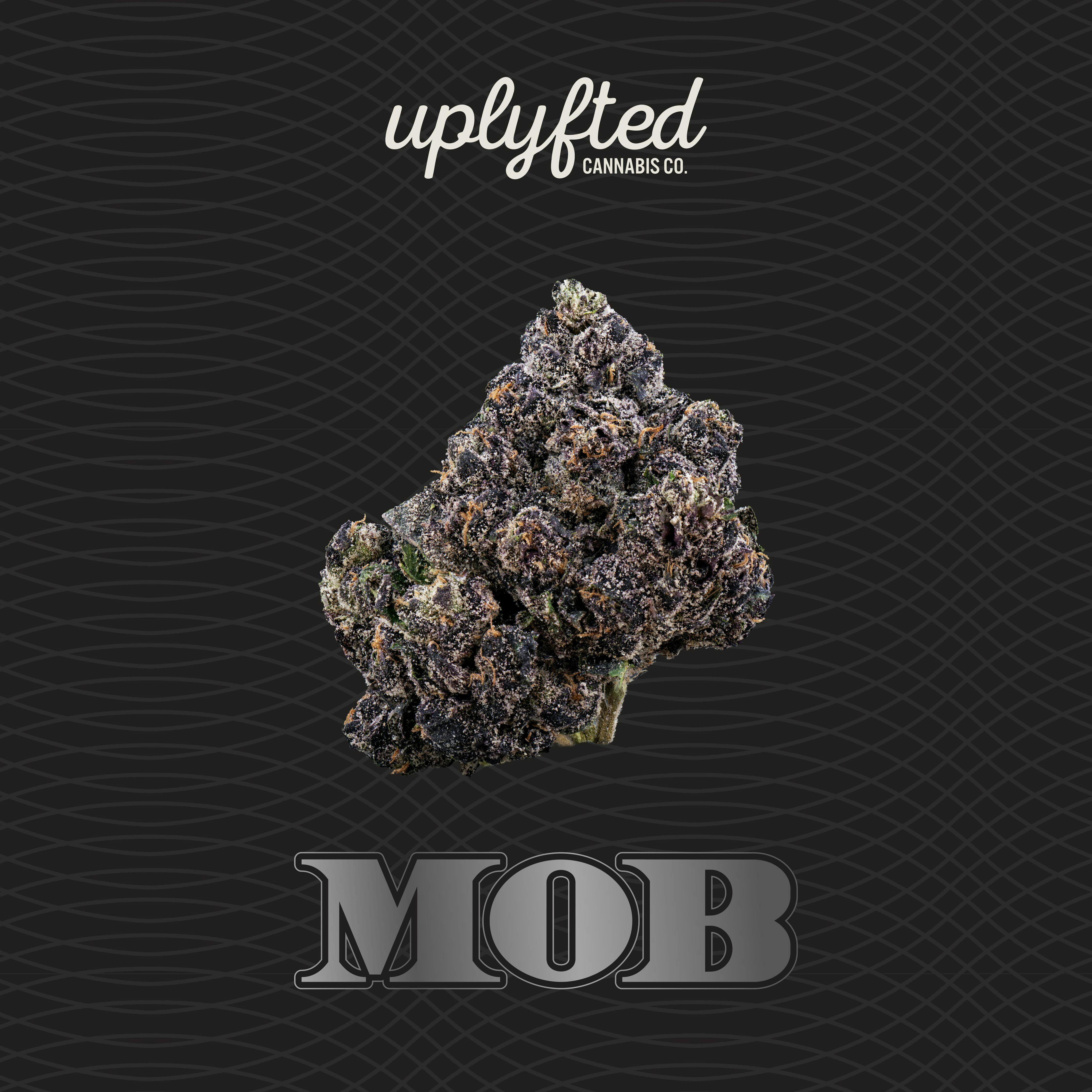 M.O.B | Buds by Uplyfted Cannabis Co