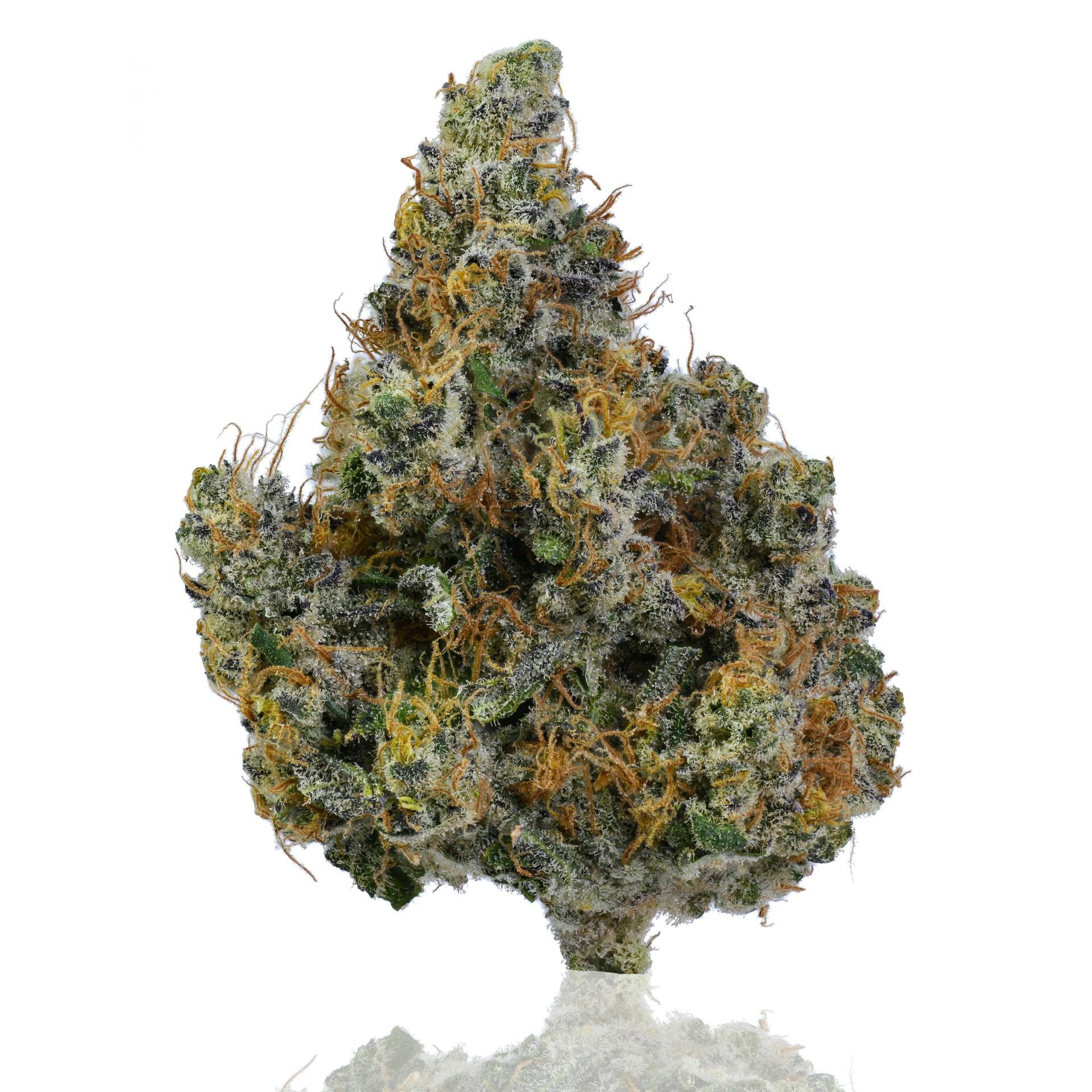 CAM: Blueberry Haze