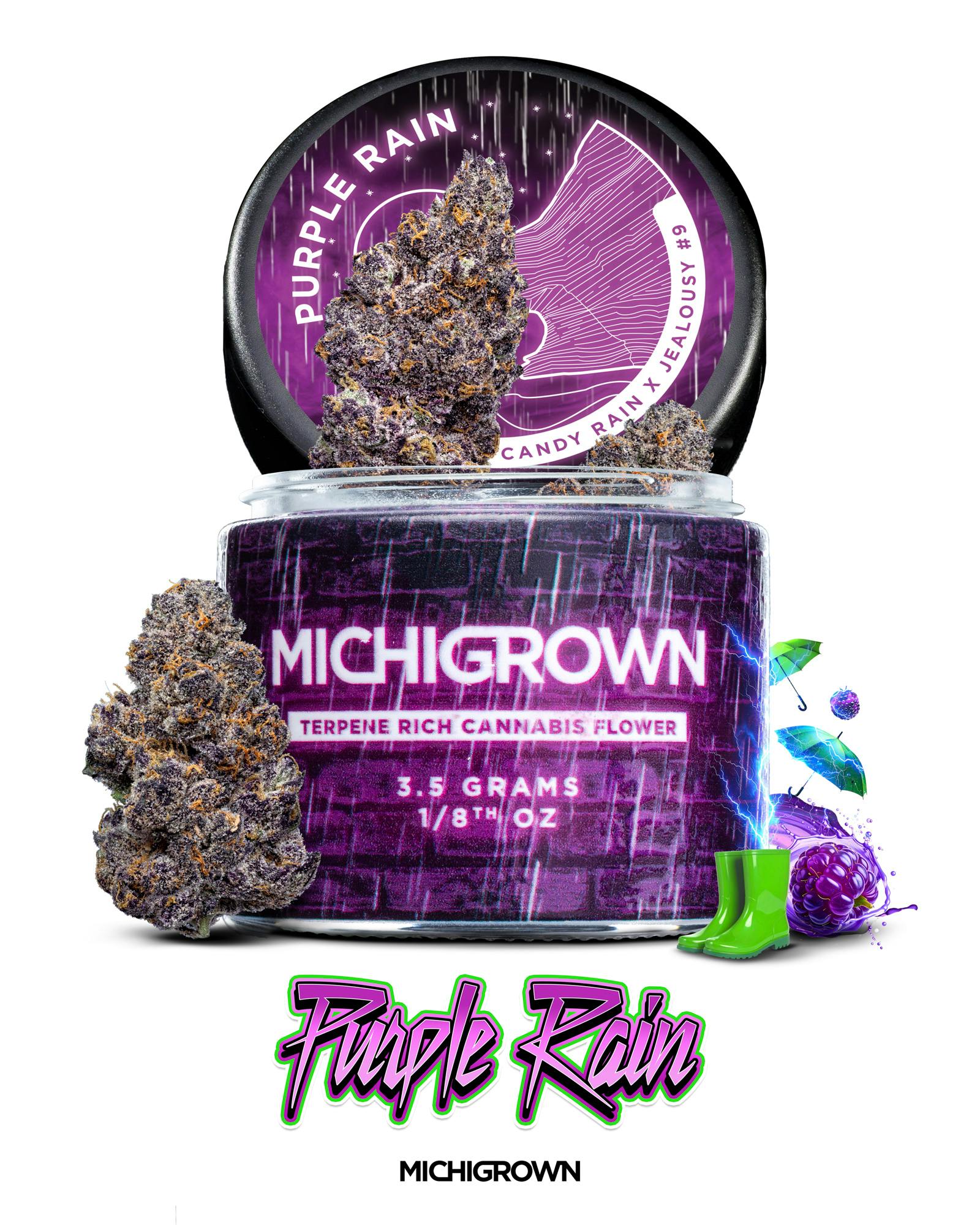 PURPLE RAIN - 3.5 GRAMS - PREMIUM FLOWER - JARS by MICHIGROWN