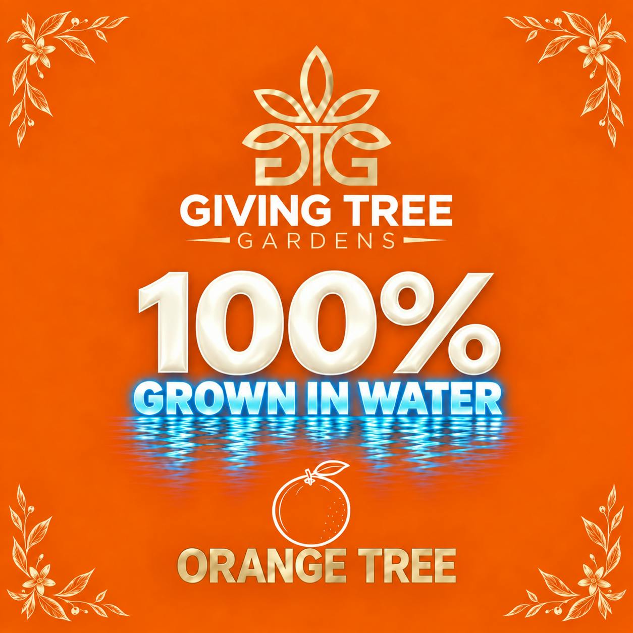 Orange Tree | Ground | 28g