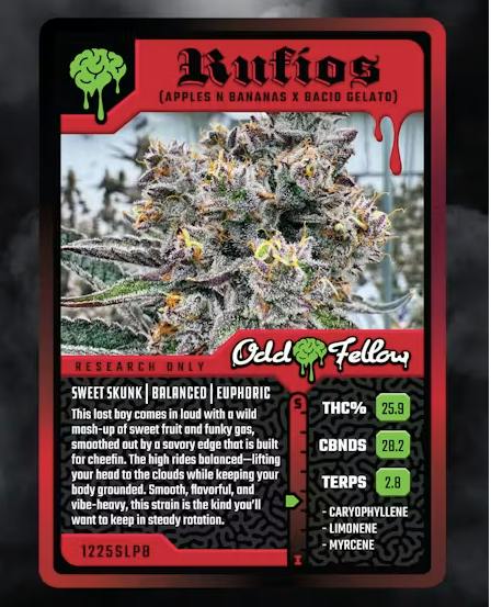 Rufios Buds