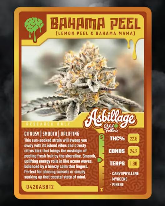 Bahama Peel | Buds | 3.5g