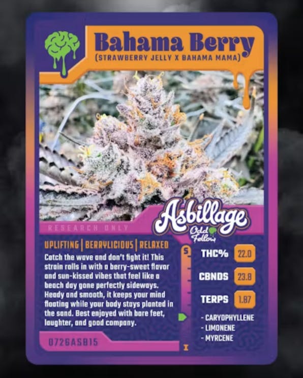 Bahama Berry Buds