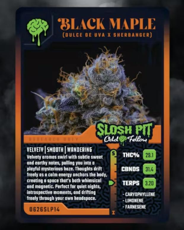 Black Maple | Buds | 3.5g