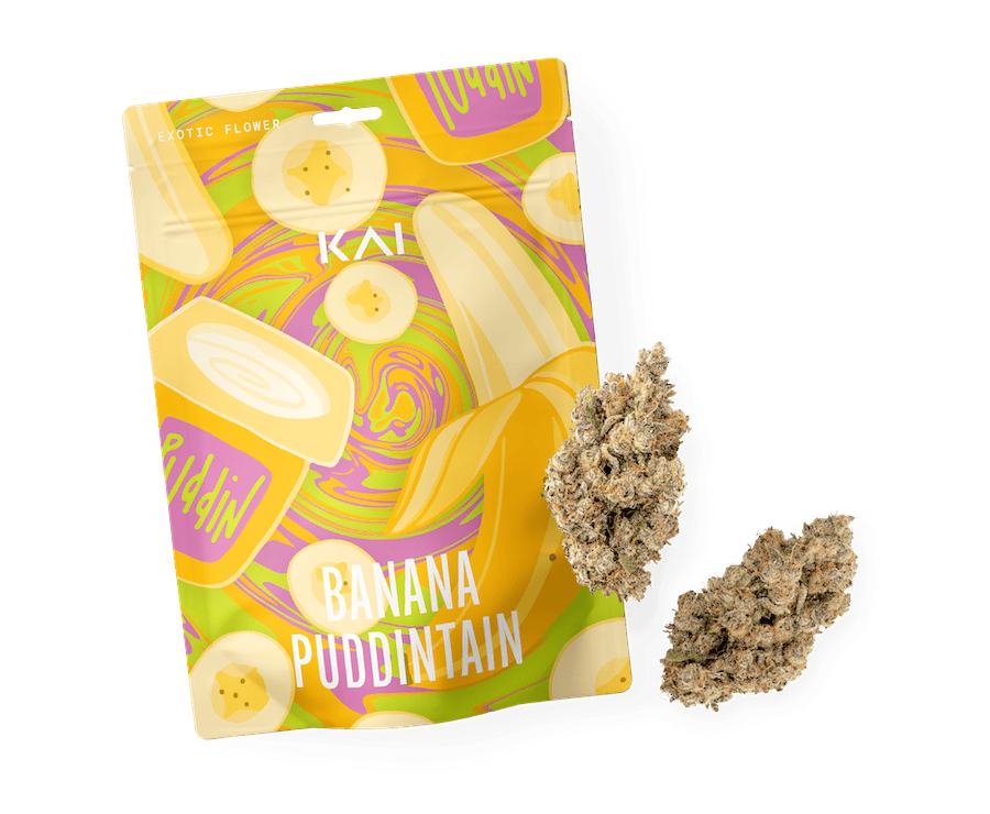 Banana Puddintaine | Buds | 3.5g