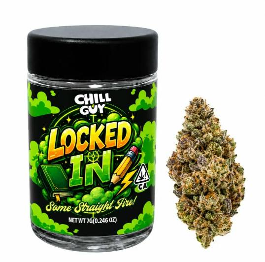 Purple Lotus: Chill Guy - Locked In