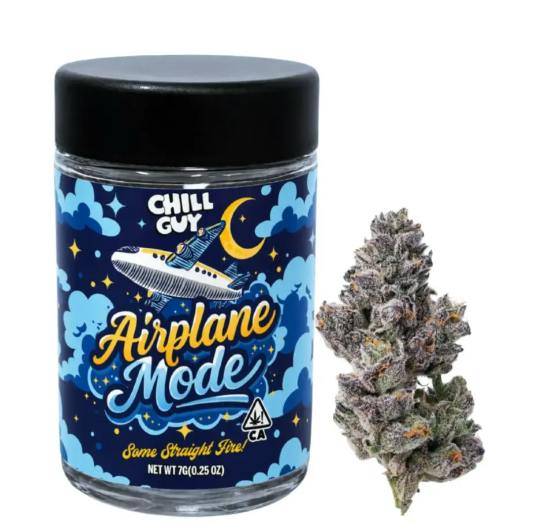 Purple Lotus: Chill Guy - Air Plane Mode