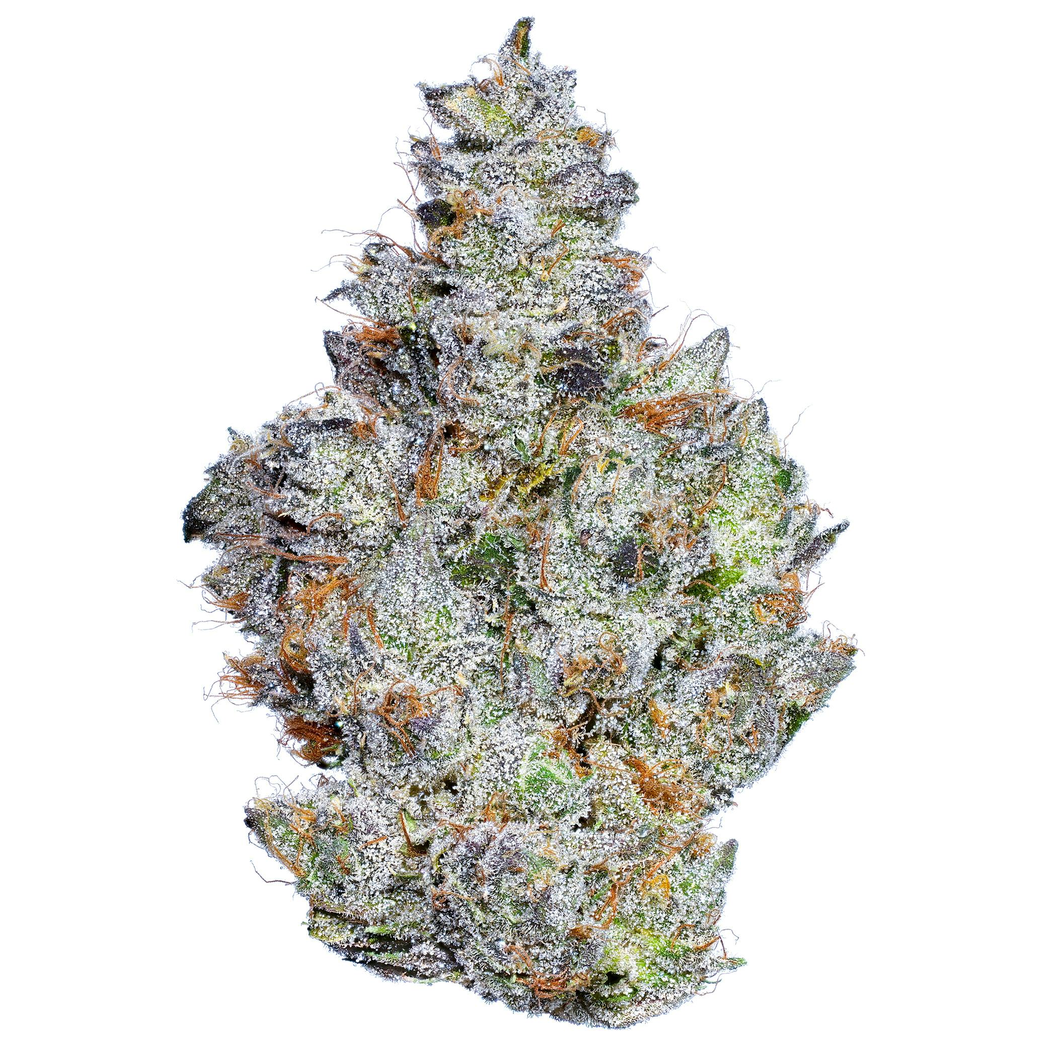 Grapefruit Giggles | Buds | 3.5g